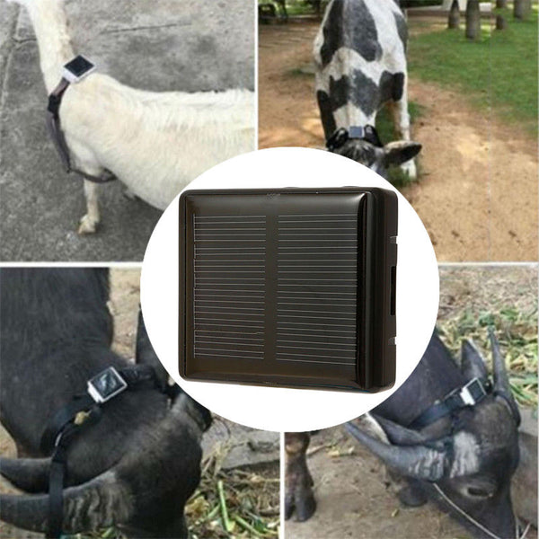 Localizador GPS solar para animais - Camaras Ocultas e Material de Espionagem Portugal 